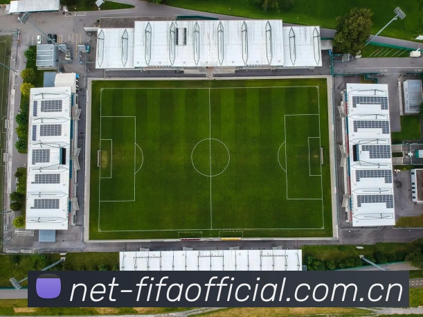 用户